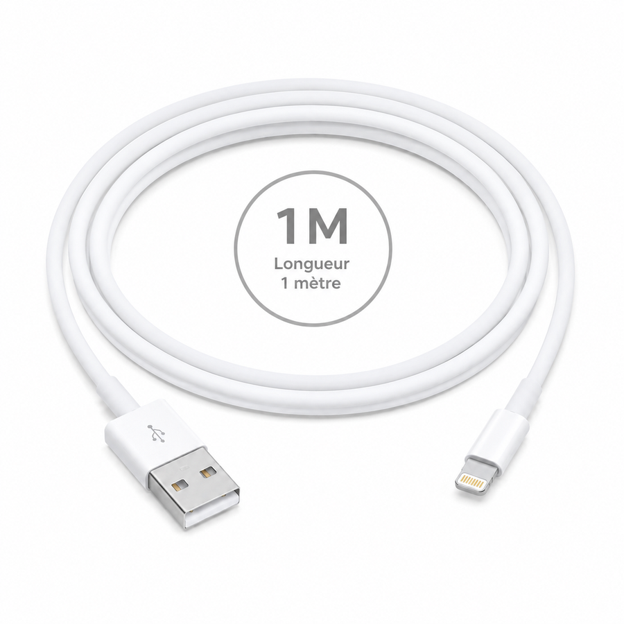 Câble USB-A vers Lightning 1 m